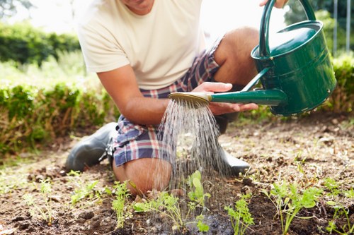 Team member preparing to mow a residential lawn