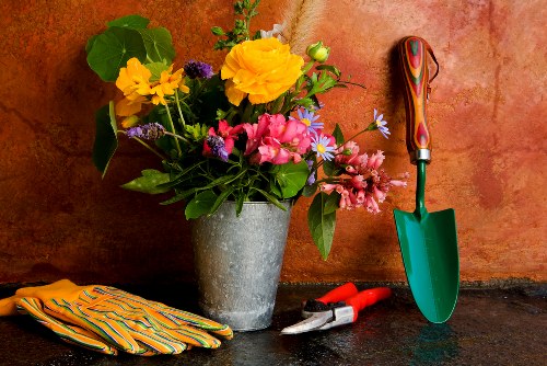 Regular lawn maintenance and cutting for a tidy garden