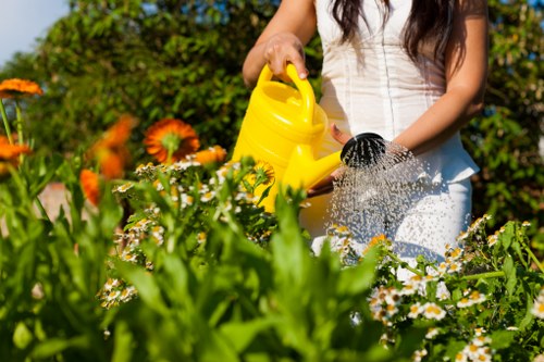 A woman outdoors in a well-maintained garden is watering a variety of flowering plants and shrubs with a yellow watering can. The garden features a lush green lawn in the foreground, bordered by flower beds containing white daisies and orange flowers, with dense foliage and trees in the background. The scene is captured on a bright, sunny day, highlighting the vibrant colors of the flowers, leaves, and the woman's white dress. The garden appears tidy and cultivated, with healthy plants and a mix of textures from the flowers, foliage, and paved or grassy surfaces. The environment suggests a private residential outdoor space, possibly part of a landscaping service providing garden maintenance within Kingston or nearby areas, with the focus on healthy plant growth and garden aesthetics.